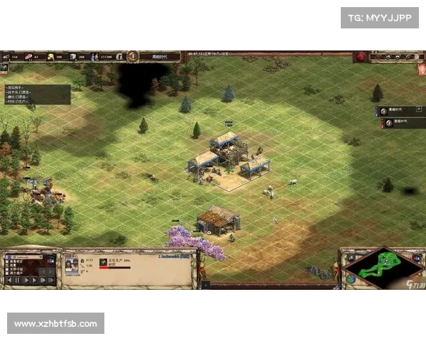 如何在帝国时代中制定致胜策略并巧妙应对敌人多样战术