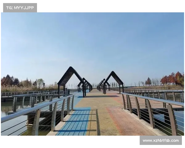 冬日湖畔漫步：感受诗意静谧与自然之美的心灵之旅