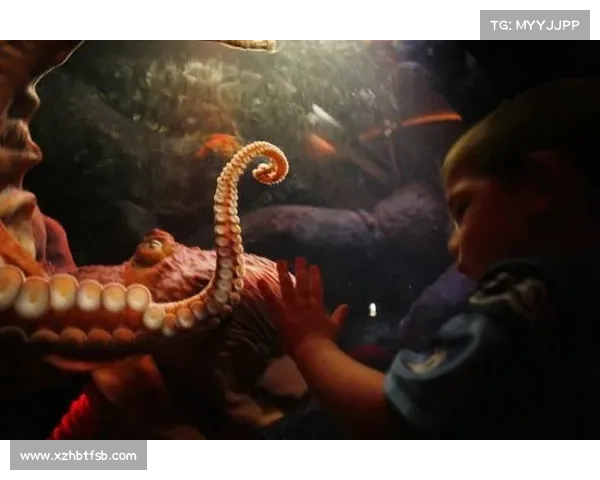 《探索全球十大鲜为人知的人鱼传说与神秘故事》 《探索全球十大鲜为人知的人鱼传说与神秘故事》